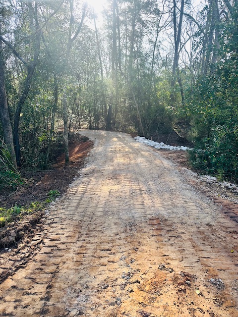 Freshly graded dirt road cut through the trees